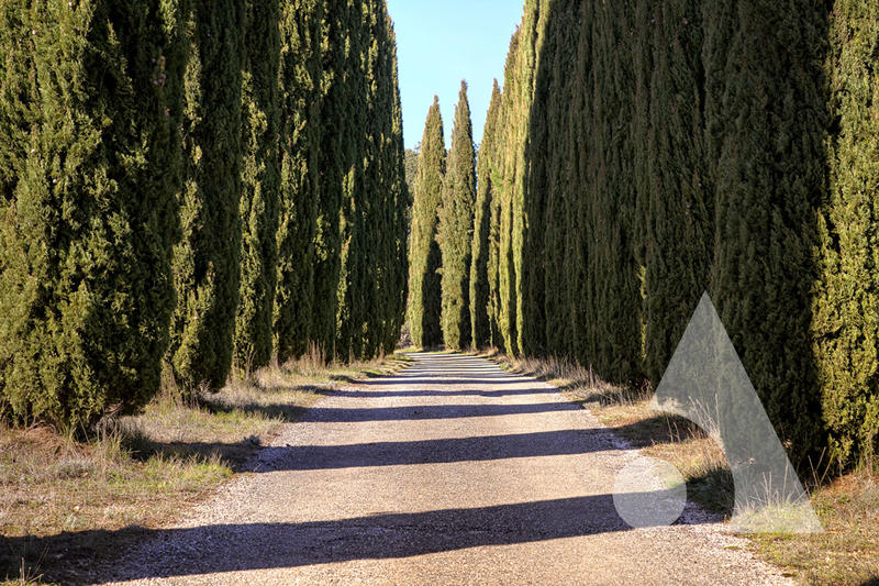 Maison - 640 m² - 18 pièces