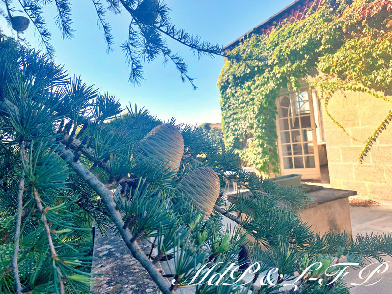 Maison - 241 m² - 7 pièces