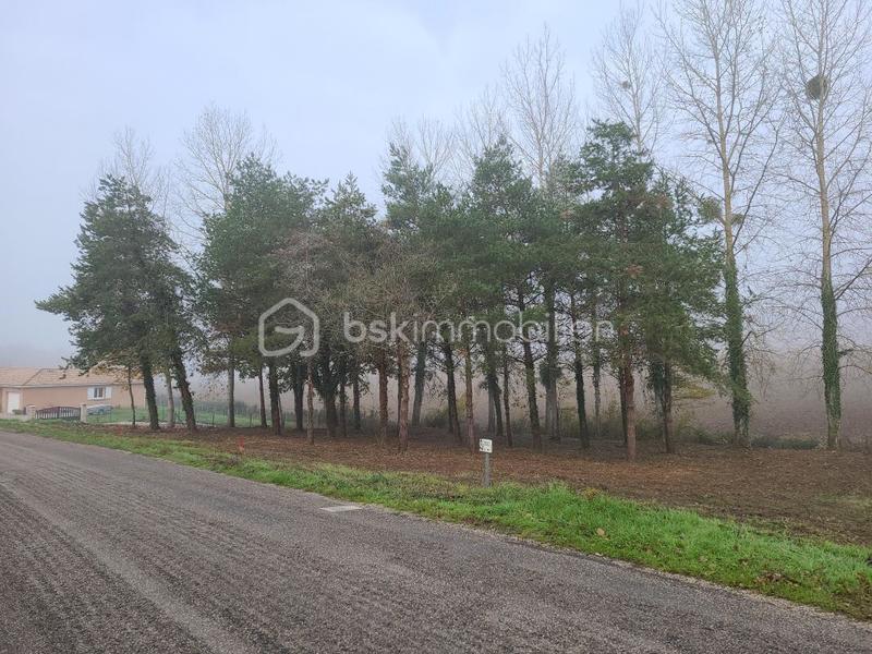 Terrain constructible - 1 000 m²
