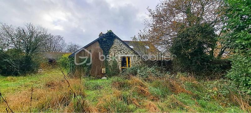 Maison en pierre - 98 m² - 4 pièces