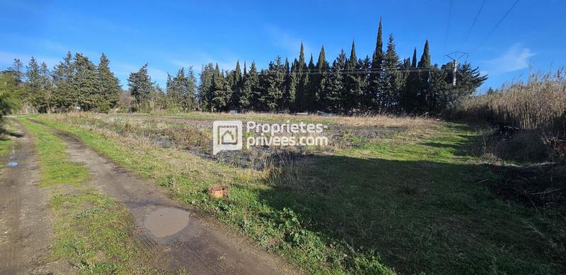 Terrain agricole - 29 154 m²