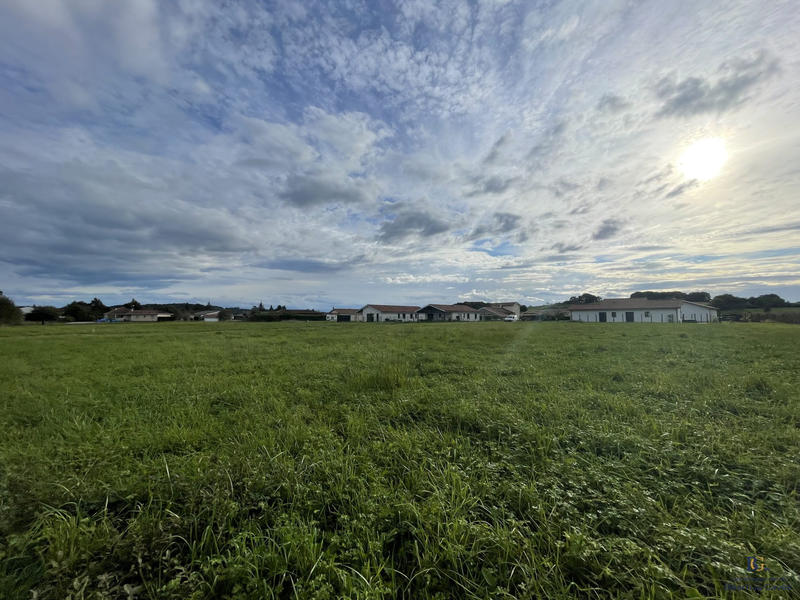 Terrain - 11 654 m²