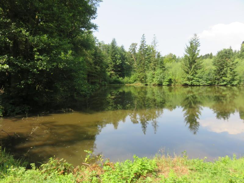 Terrain de loisirs - 4 560 m²