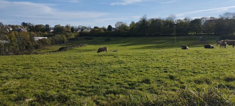 Terrain - 10 000 m²