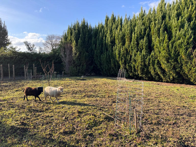 Villa - 112 m² - 6 pièces