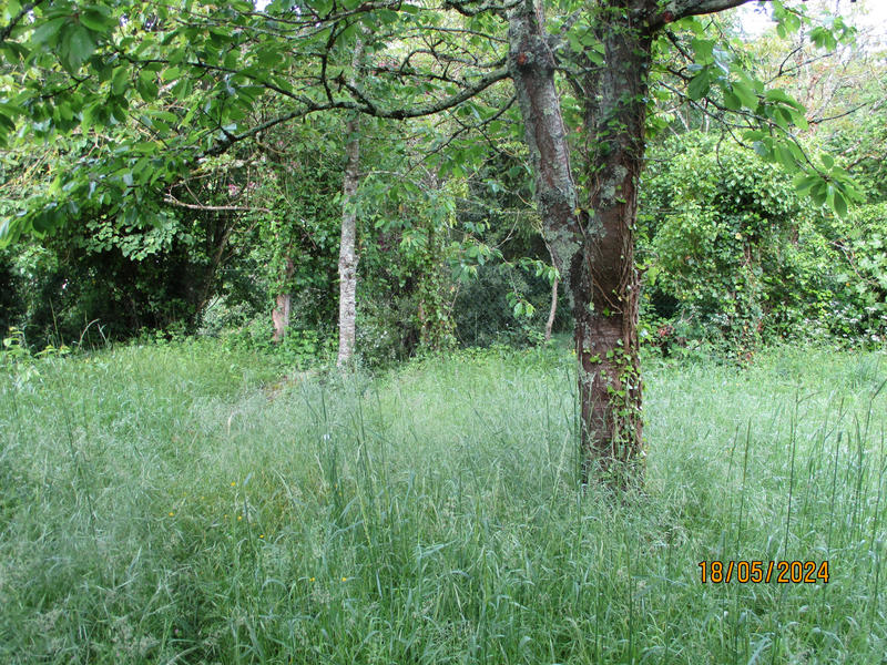 Maison - 262 m² - 9 pièces