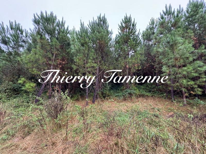 Terrain - 159 203 m²