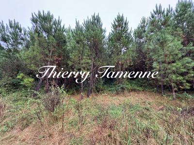 Terrain - 159 203 m²