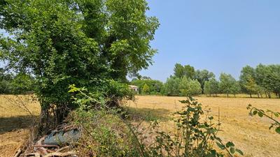 Terrain constructible - 2 026 m²