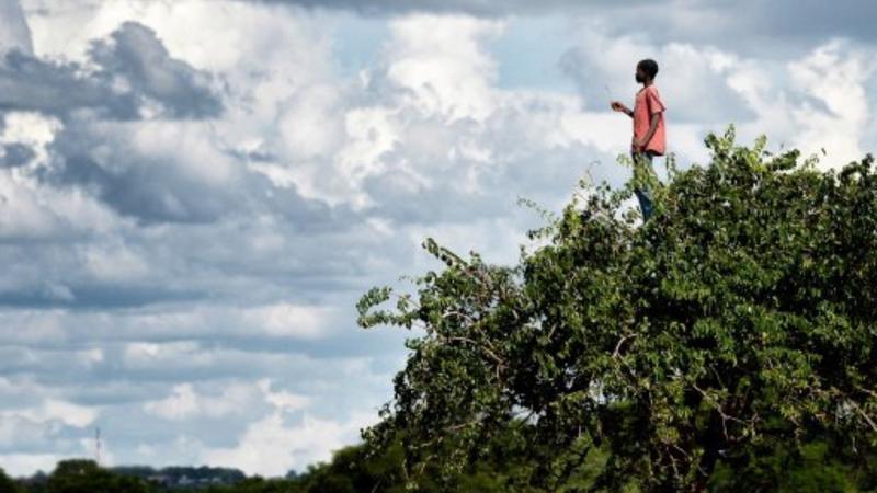 Printemps des poètes - Visite commentée,  “Liberté, force vive déployée”