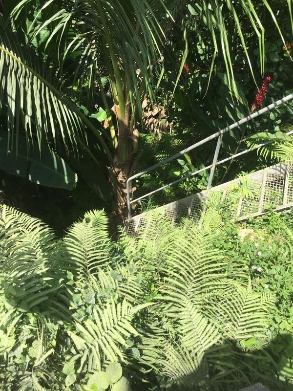 Maison d'architecte - 210 m² - 5 pièces