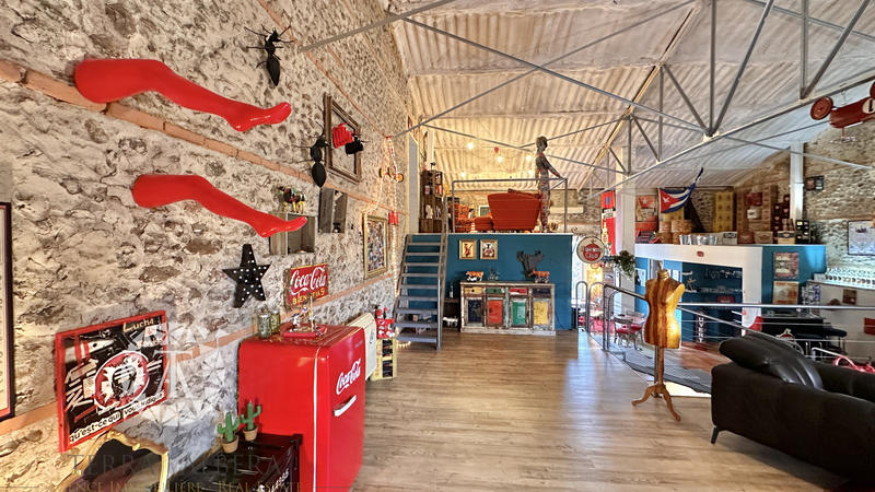 Mas - 298 m² - 5 pièces