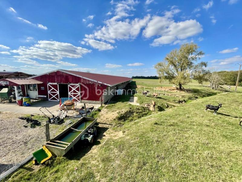 Propriété - 178 m² - 7 pièces