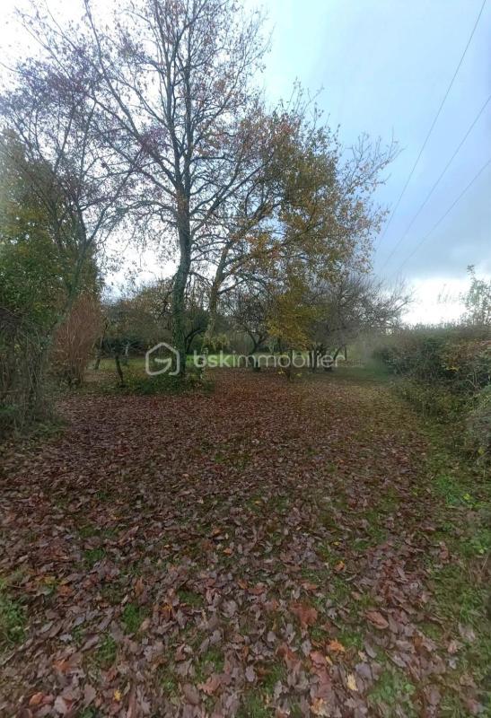 Longère - 210 m² - 6 pièces