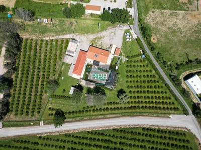 Maison - 228 m² - 10 pièces