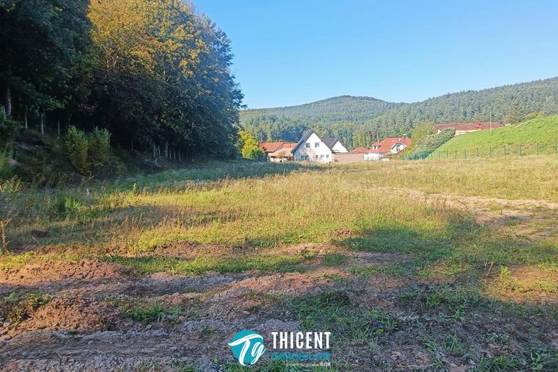 Terrain - 5 243 m²