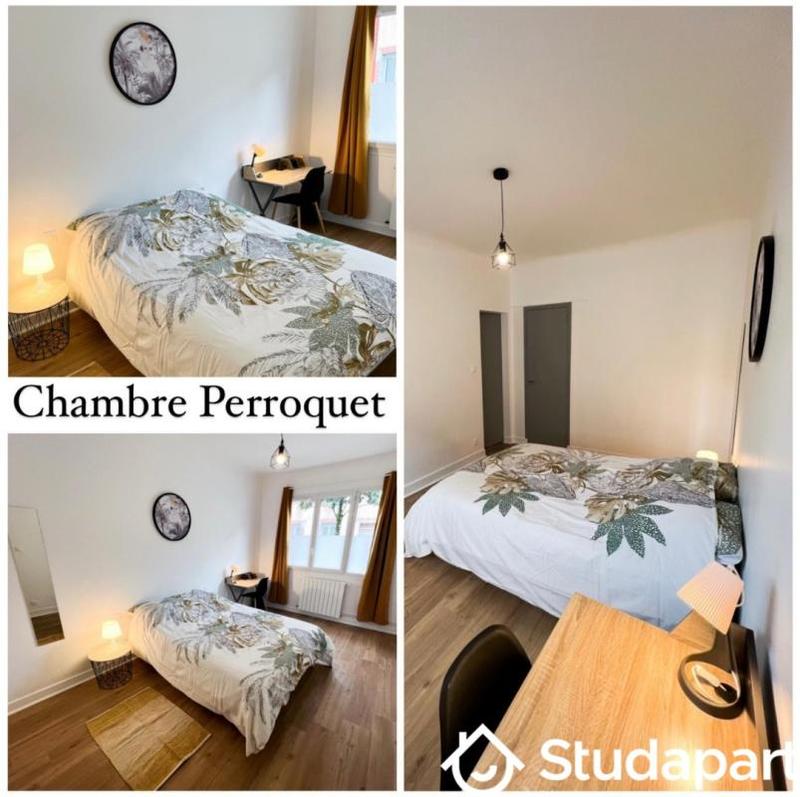 Chambre - 13 m² - 1 pièce