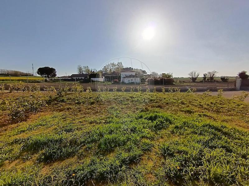 Maison - 137 m² - 5 pièces