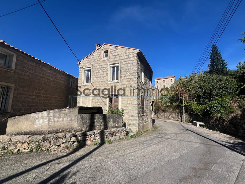 Maison - 250 m² - 8 pièces