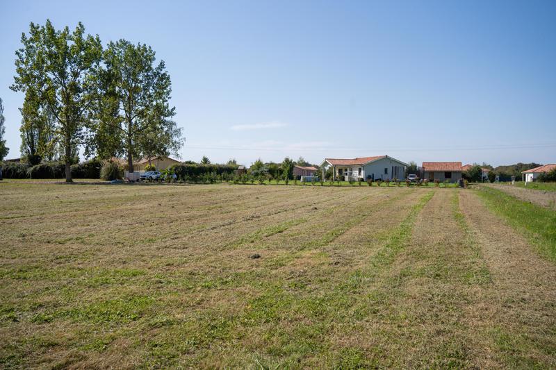 Maison - 137 m² - 5 pièces