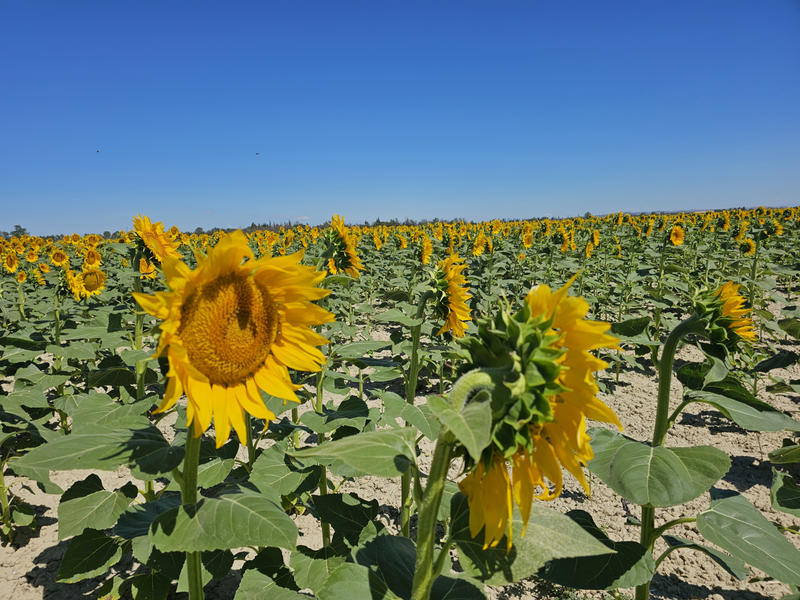 Propriété - 355 m² - 16 pièces