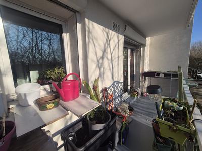 Appartement - 50 m² - 2 pièces