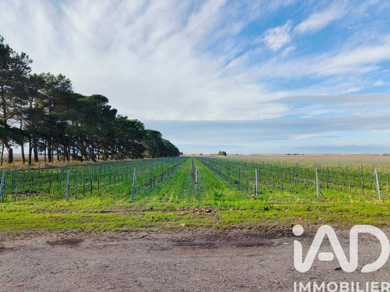 Terrain agricole - 1 140 000 m²