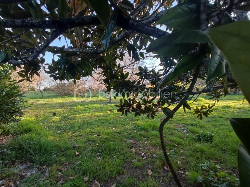 Corps de ferme - 315 m² - 10 pièces