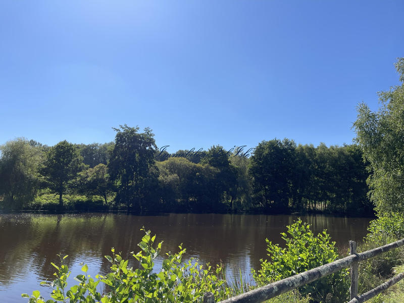 Maison - 290 m² - 8 pièces