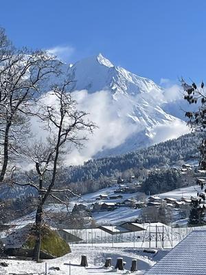 Châlet - 225 m² - 8 pièces