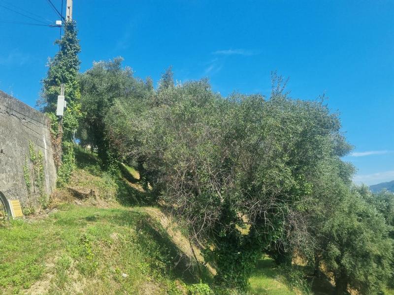 Terrain constructible - 1 011 m²