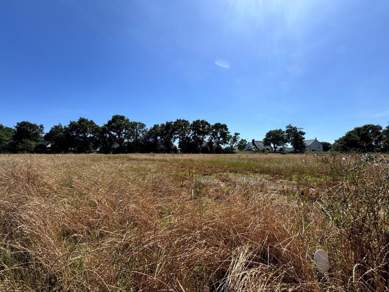 Terrain - 500 m²