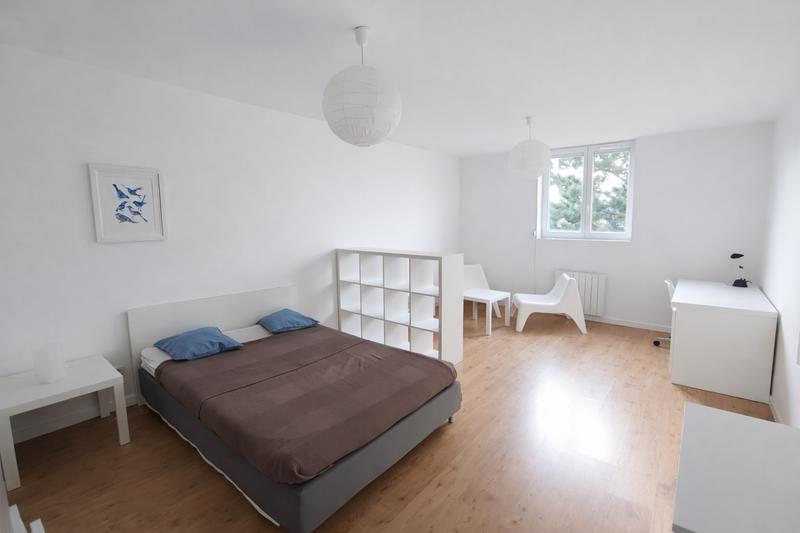 Appartement - 40 m² - 1 pièce