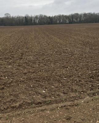 Terrain constructible - 315 m²