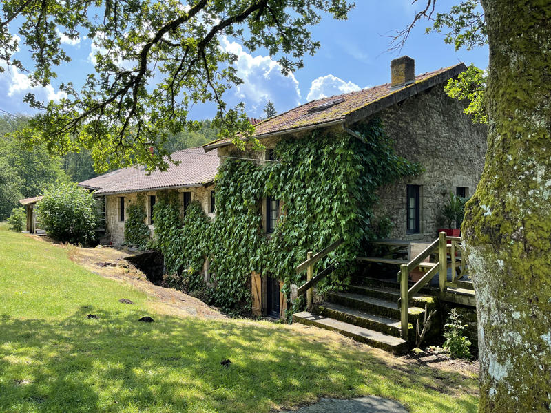 Propriété - 530 m² - 25 pièces