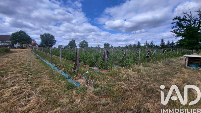 Ferme - 70 m² - 3 pièces