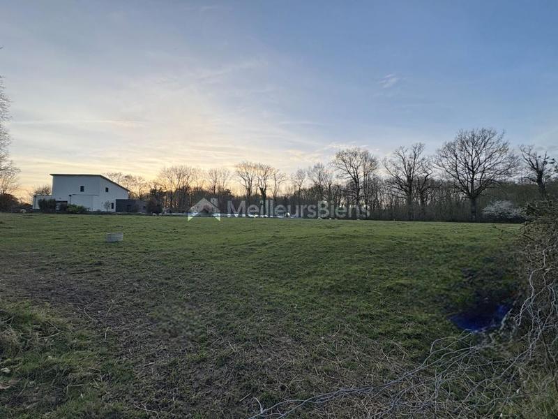 Terrain constructible - 3 805 m²