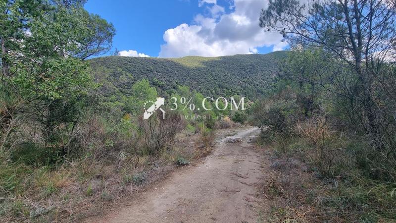 Propriété - 450 m² - 16 pièces