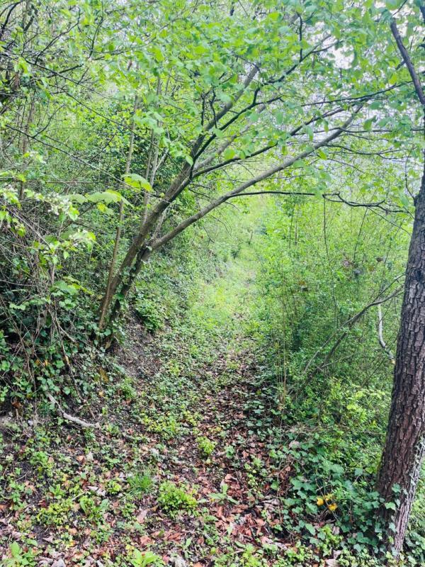 Maison - 165 m² - 6 pièces