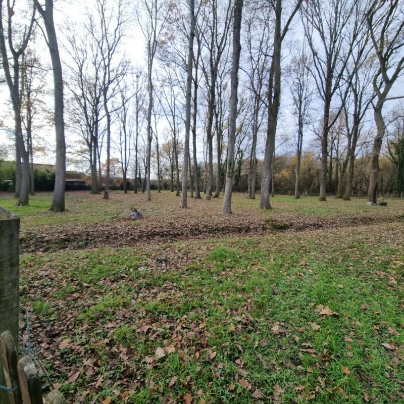 Maison - 74 m² - 3 pièces