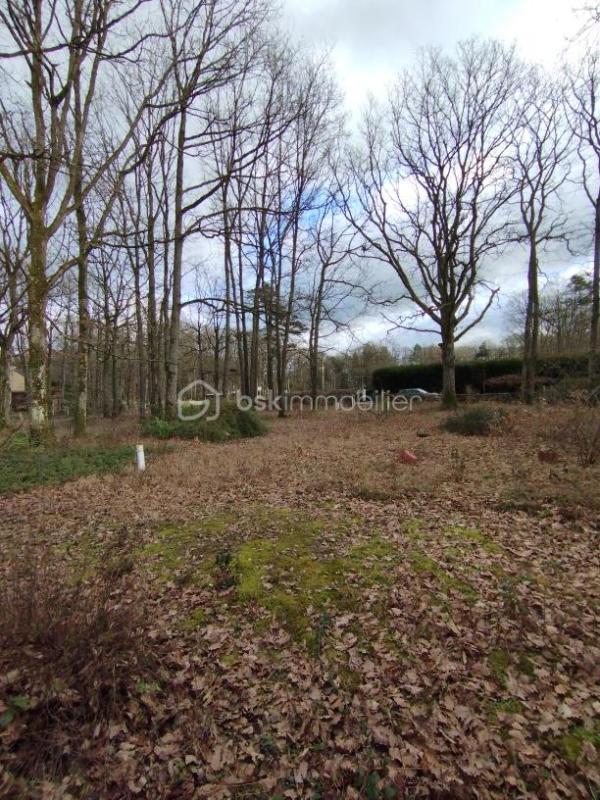 Châlet - 39 m² - 3 pièces