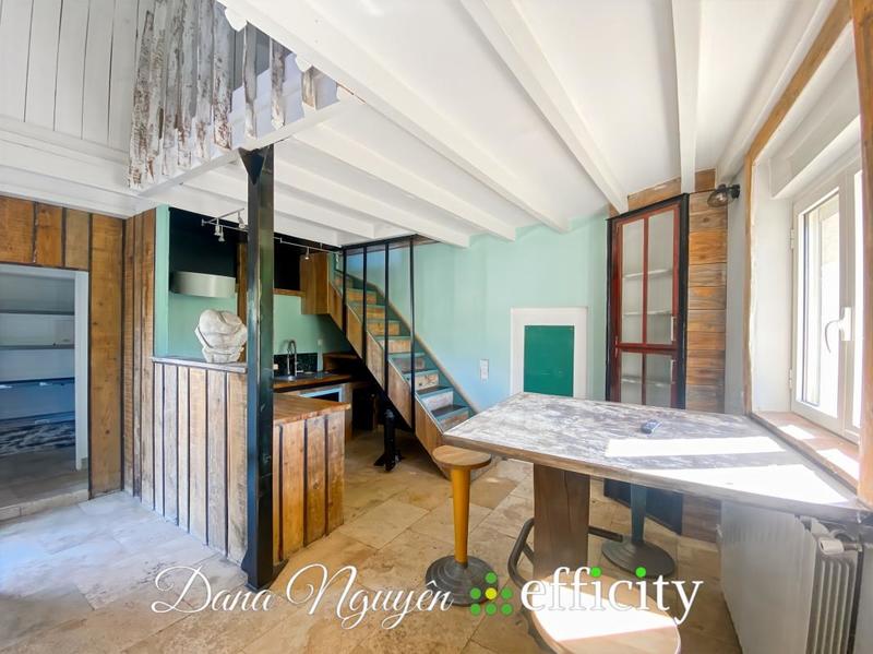 Mas - 259 m² - 9 pièces