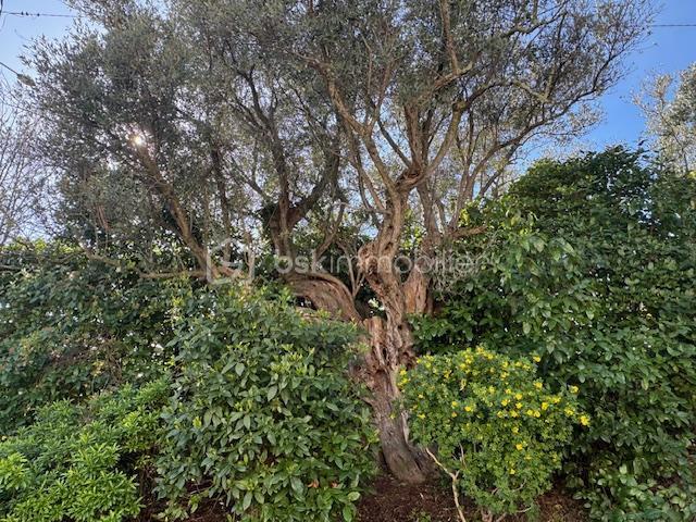 Maison - 101 m² - 4 pièces