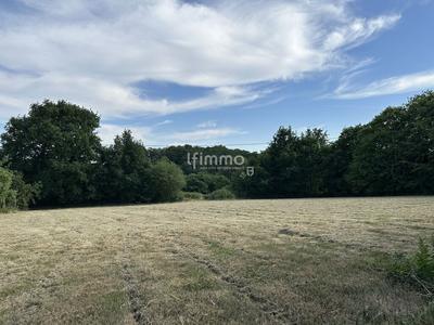 Terrain - 2 875 m²