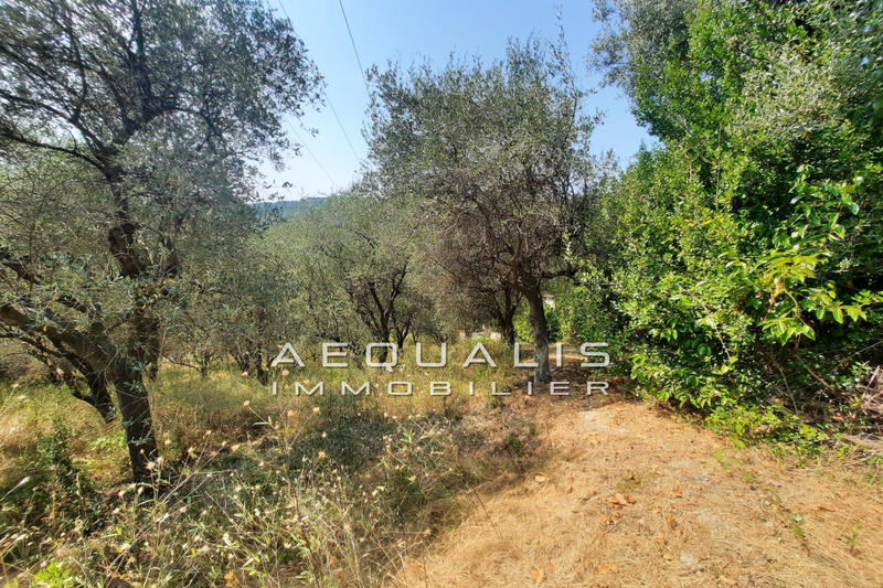 Terrain - 7 000 m²