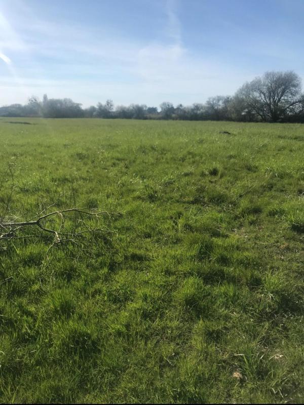 Terrain agricole - 12 500 m²