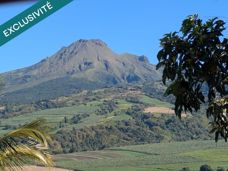 Appartement - 75 m² - 4 pièces