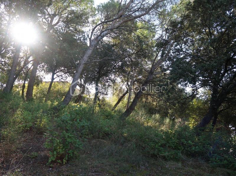 Terrain constructible - 1 246 m²