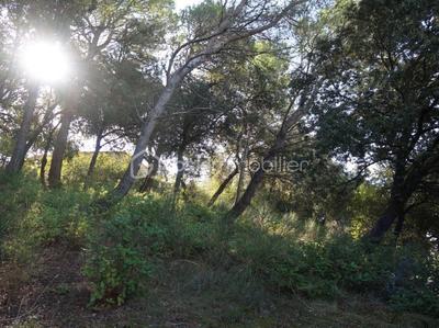 Terrain constructible - 1 246 m²