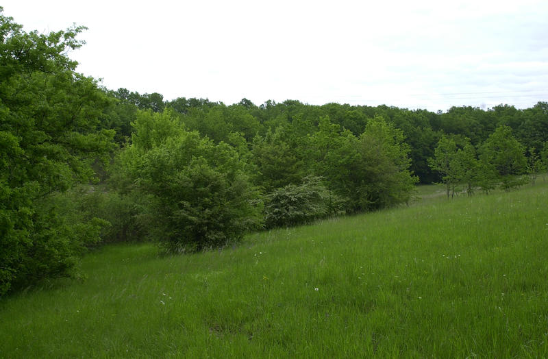 Terrain agricole - 220 000 m²